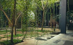 Isi Arana Eco Villa